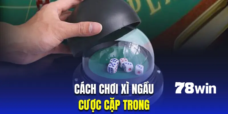 Cách chơi Xí Ngầu cặp trong mang lại rất nhiều sự thú vị cho hội viên